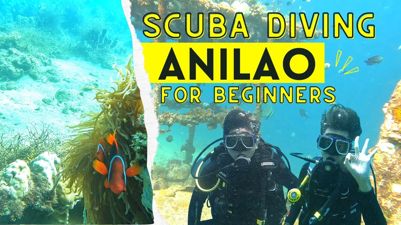 Scuba diving in Anilao |  PIER UNO Dive resort | is scuba diving in Anilao worth it?