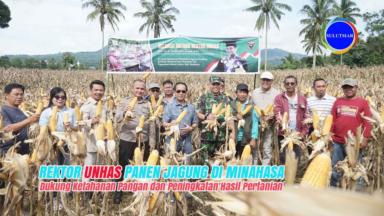 REKTOR UNHAS PANEN JAGUNG DI KABUPATEN MINAHASA