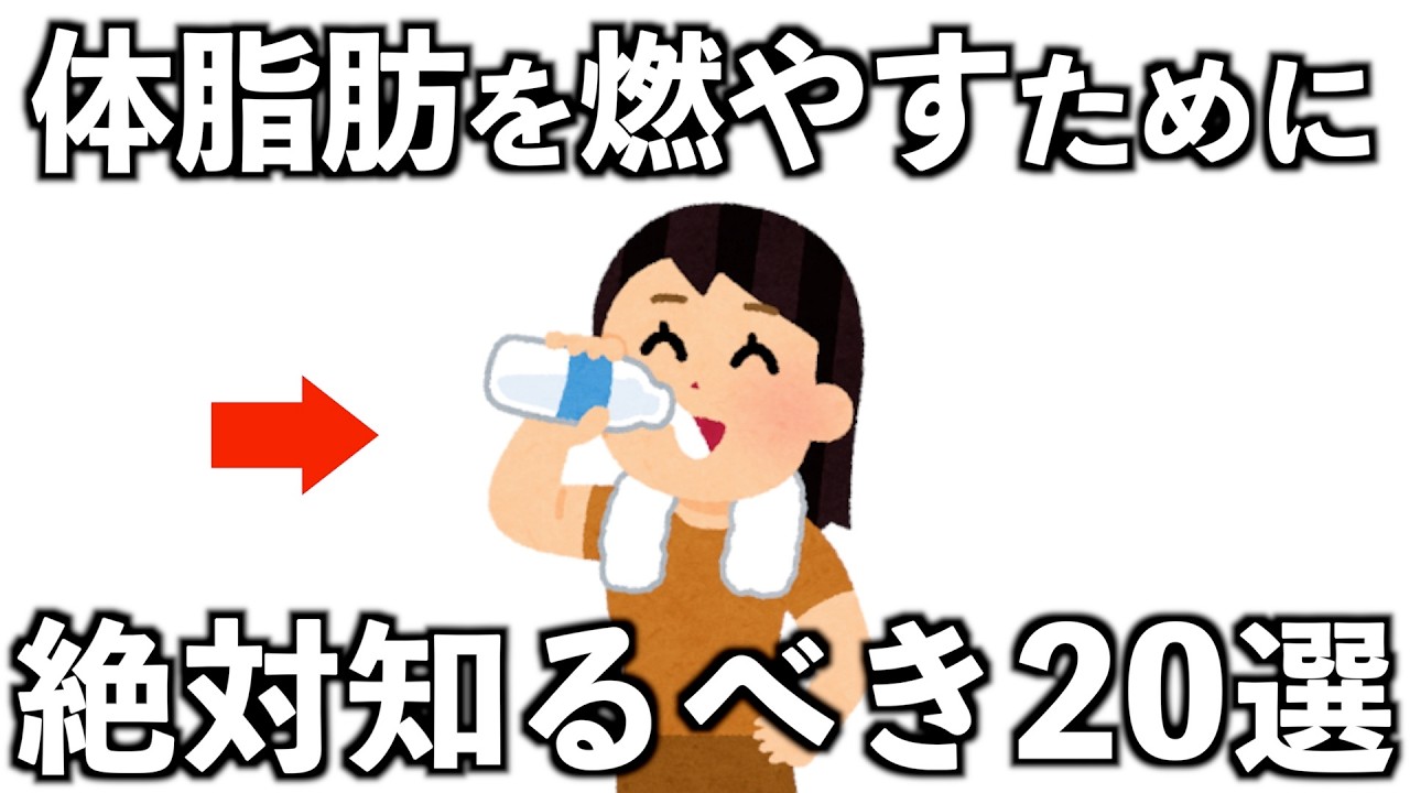 体脂肪を燃やすために1番大切な20の教え【賢く痩せるための隠れた常識20選】
