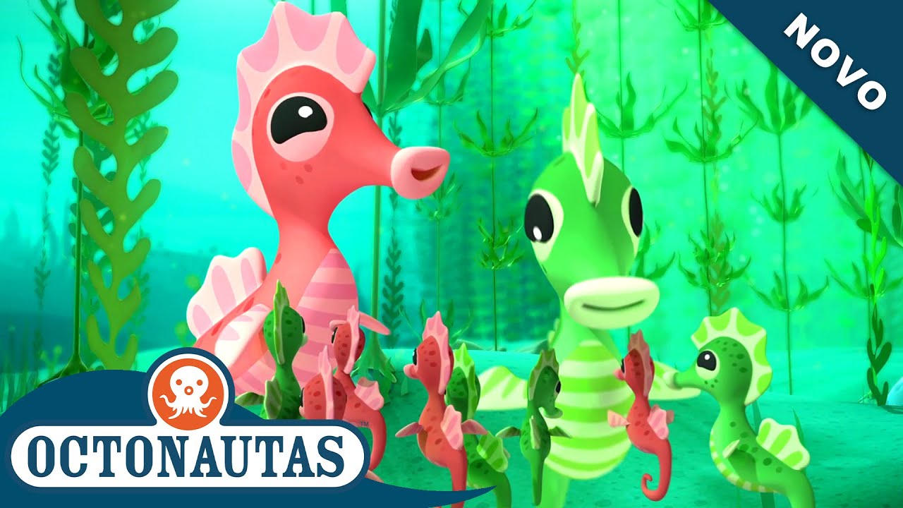 Octonautas - O Conto do Cavalo Marinho | Episódio inteiro 31 | Primeira Temporada