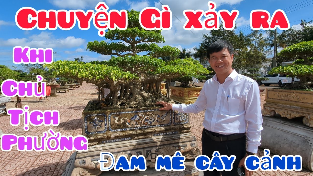 Chủ tịch Phường đam mê cây cảnh và cái kết có rất nhiều TP đẹp đang trưng bày tại TL Buôn Hồ 