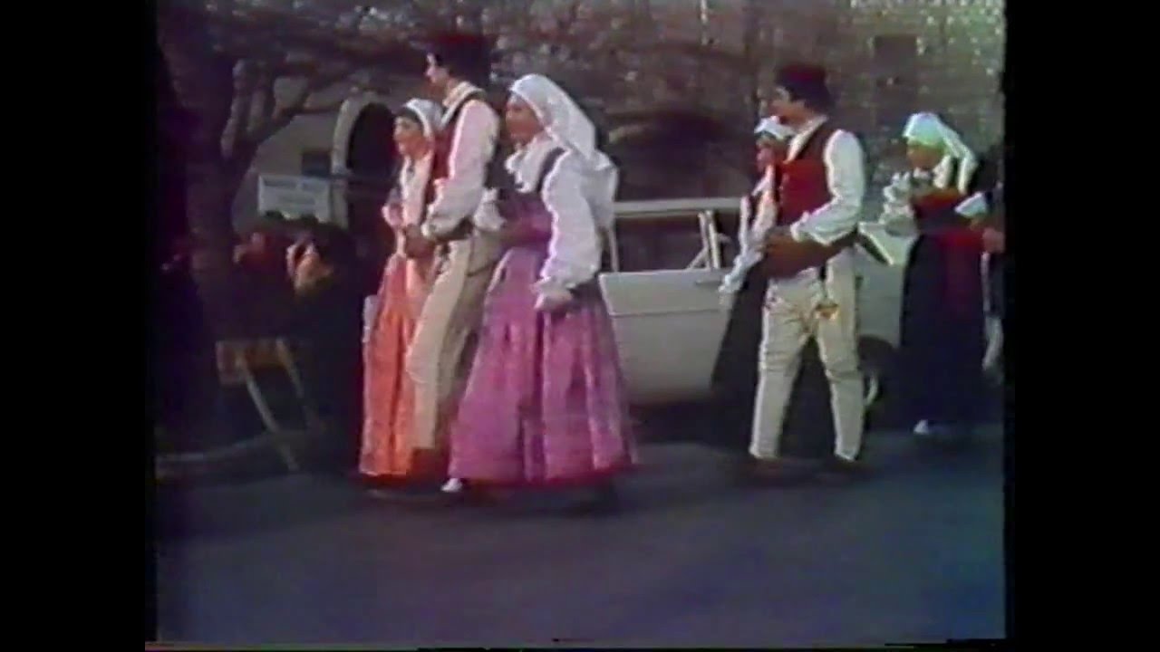 Novljanski mesopust 1982
