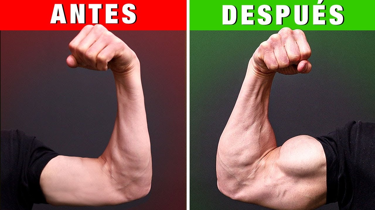 5 Razones por las que Tus BRAZOS NO CRECEN