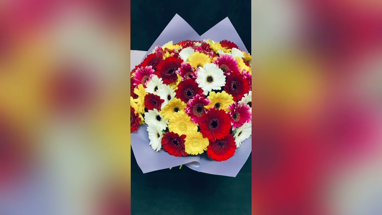 Gerbere Multicolore,  buchet perfect pentru bunica.