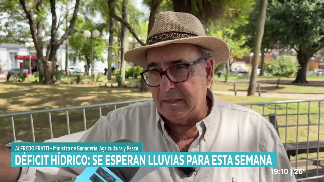 🌧️ Las lluvias previstas para esta semana podrían normalizar la situación del agro afectado por el