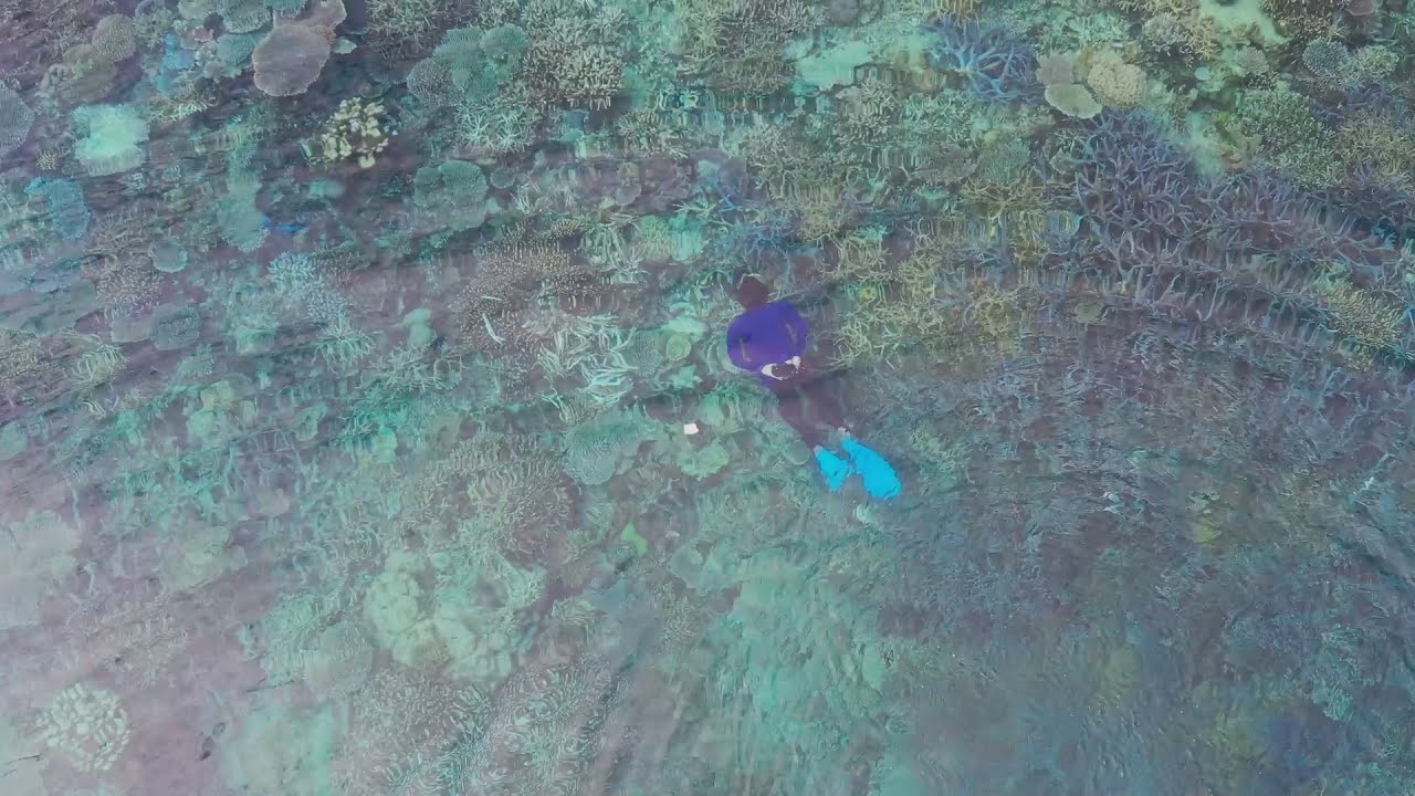 6 Bahasa 1 Cerita, KARIMUNJAWA - Film Dokumenter