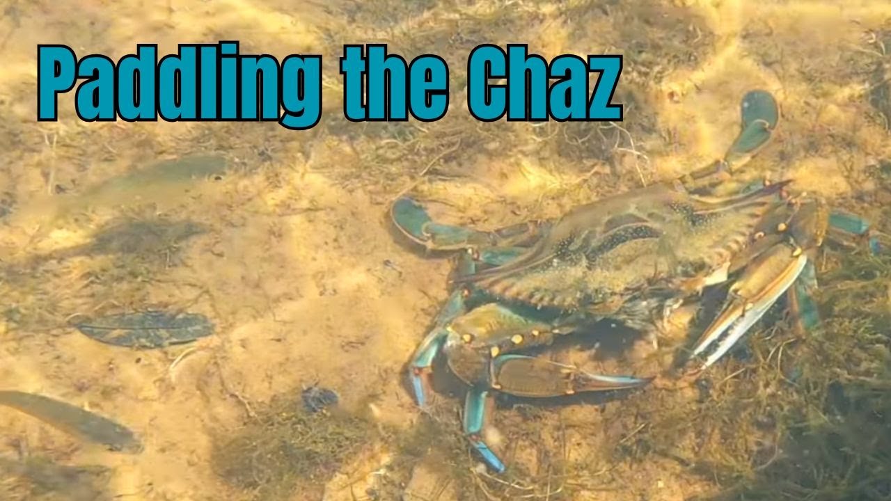 Early Morning Paddle on the Chaz