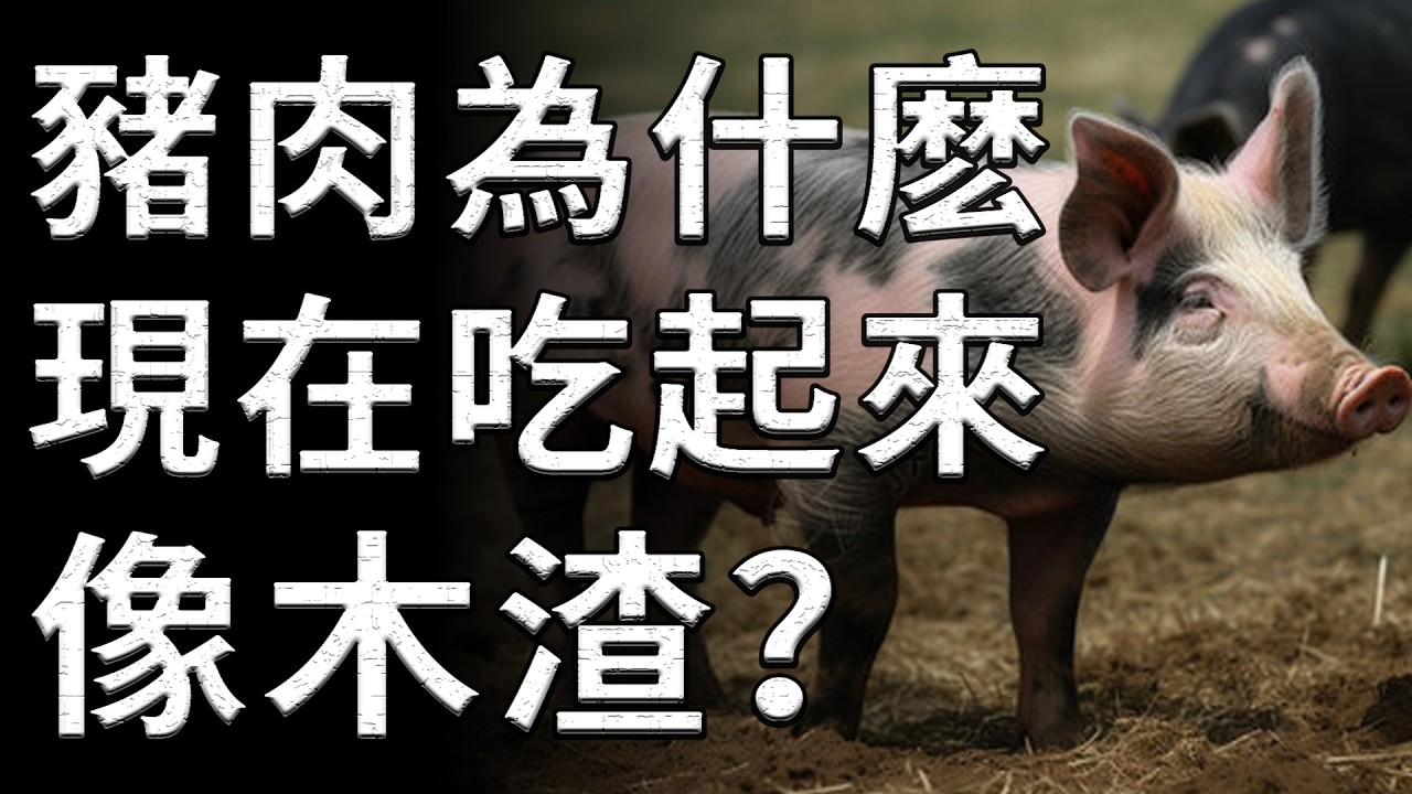 為什麽現在的豬肉吃起來像木渣？這份真相揭開了現代工業的殘酷！#豬肉#美食真相#兒時味道#生活科普#肉香
