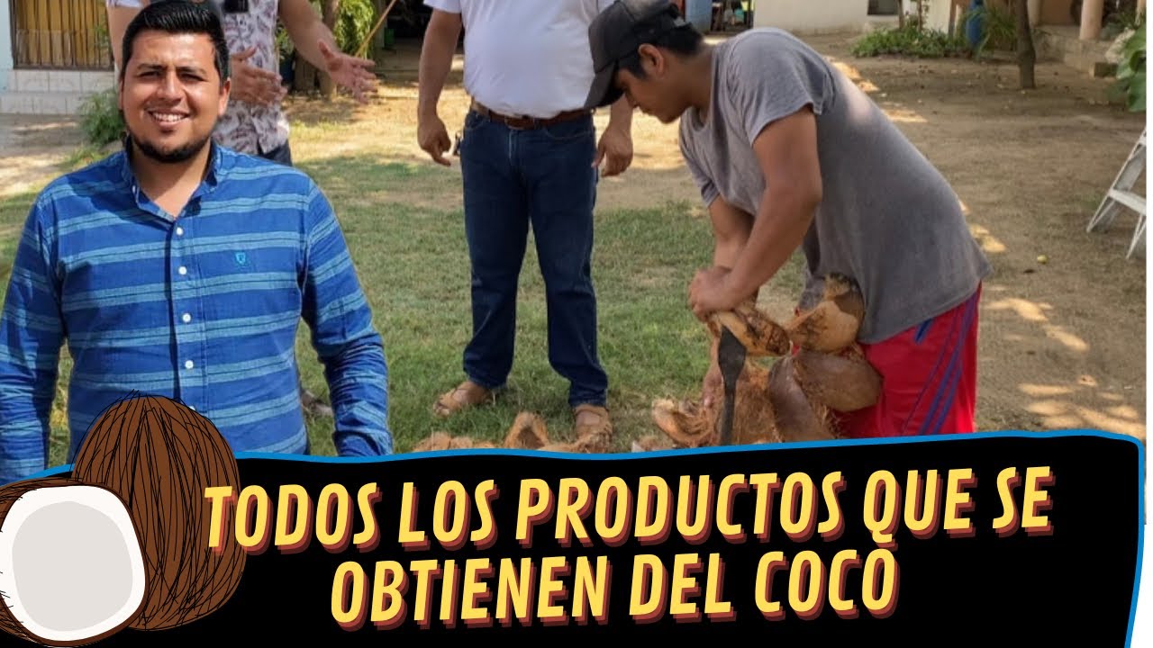 TODOS ESTOS PRODUCTOS SE OBTIENEN DEL COCO 🌴 🥥 EN LOS ARENALES GUERRERO