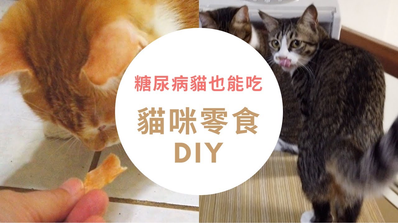 糖尿病貓零食DIY，自製無添加雞肉乾全家貓都愛，平時不下廚也能輕易做貓食homemade dried meat for pet【毛掌村長愛旅遊】(原毛掌村爽爽過)