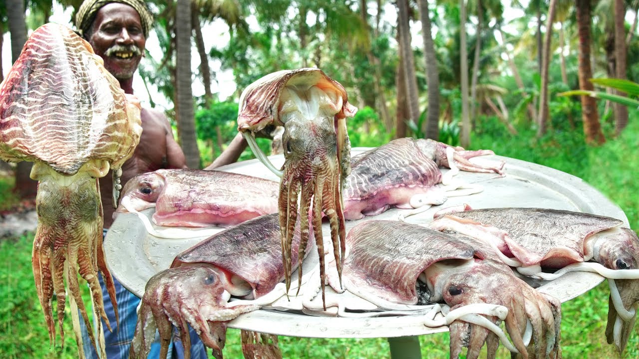 GIANT SQUID FISH FRY | முரட்டு கனவா மீனில் ருசியான வறுவல் | DELICIOUS SPICY SEA FOOD |Village Recipe