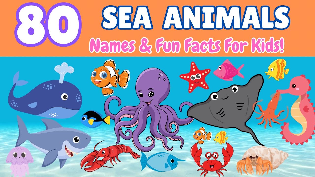 Learn 80 Most Popular Sea Animals for Kids & Toddlers | Names & Fun Facts | Fun Educational Video