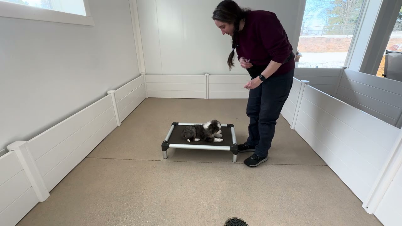 George Training Session 02/24
