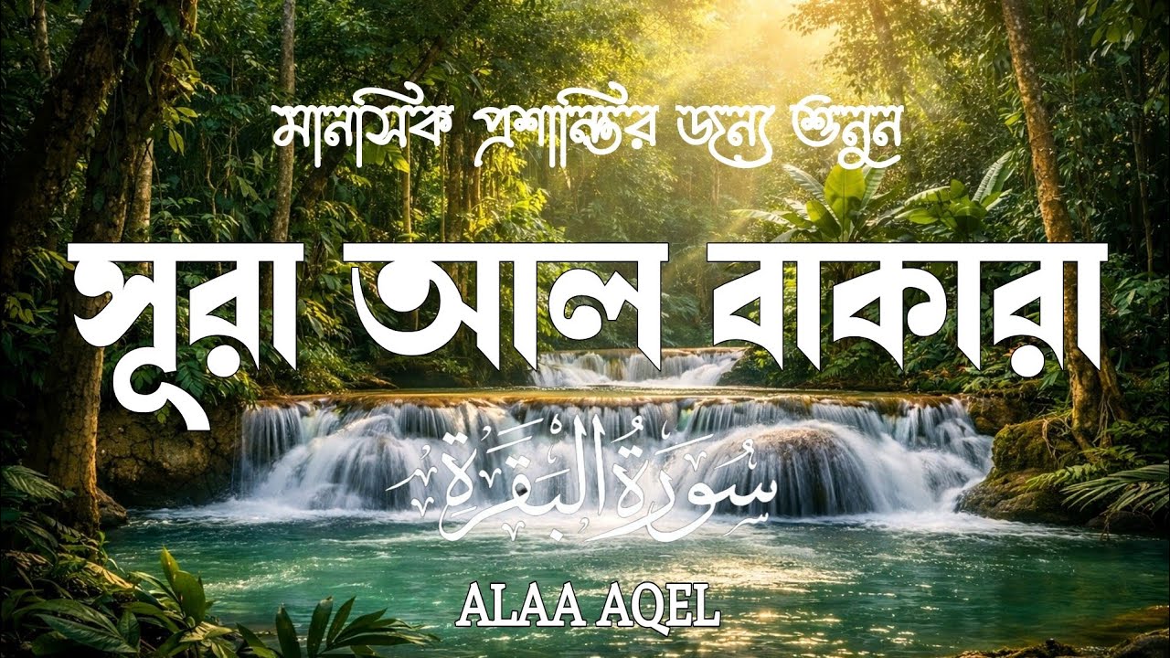 ঘরে শান্তি, নিরাপত্তা ও বরকতের জন্য শুনুন সূরা আল-বাকারা | powerfull Recitation by Alaa Aqel