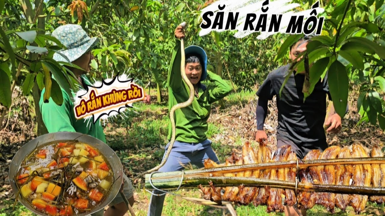 Săn Rắn Mối Nướng Sa Tế  Vô Tình Gặp Được Con Vật Này |TeamHoài PhongTV