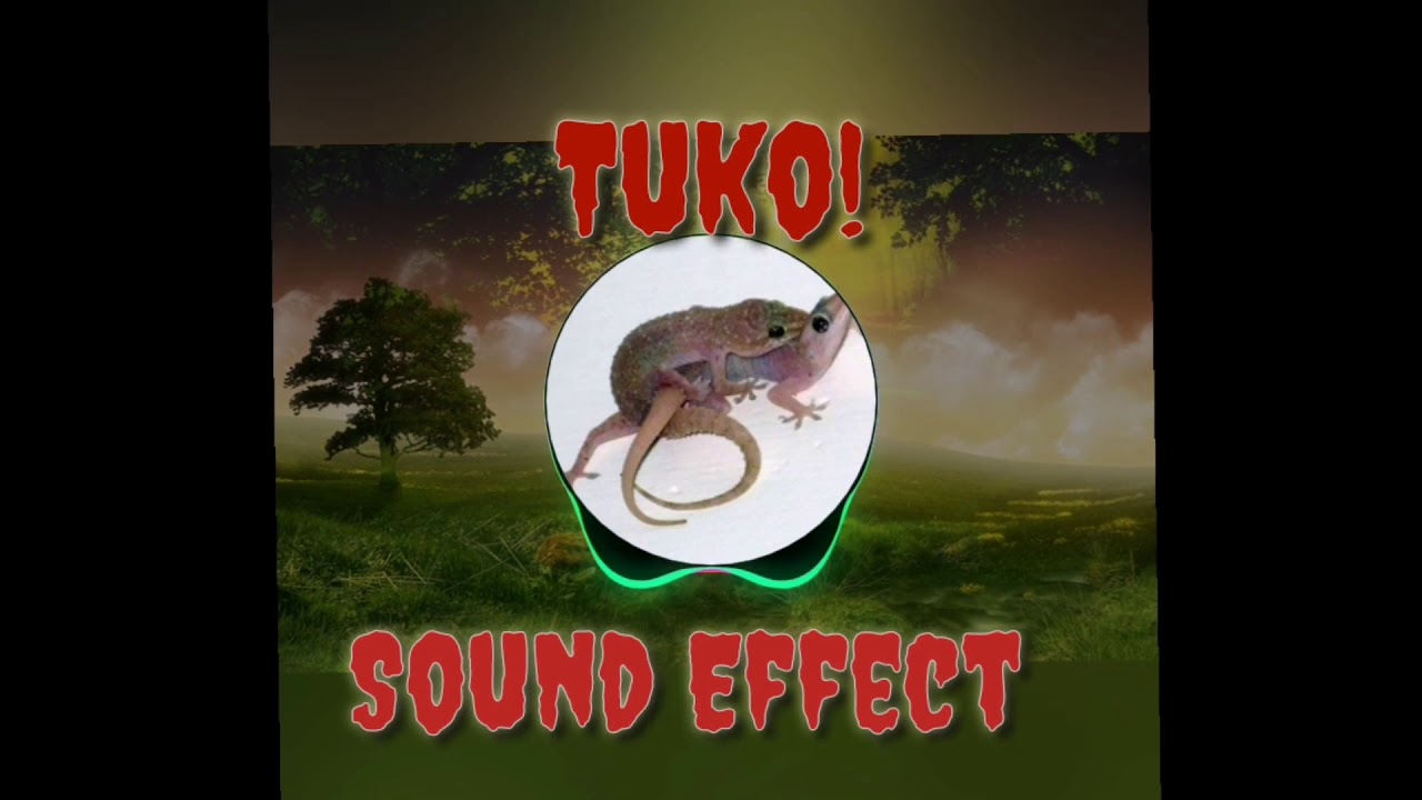 Tuko! Sound Effect
