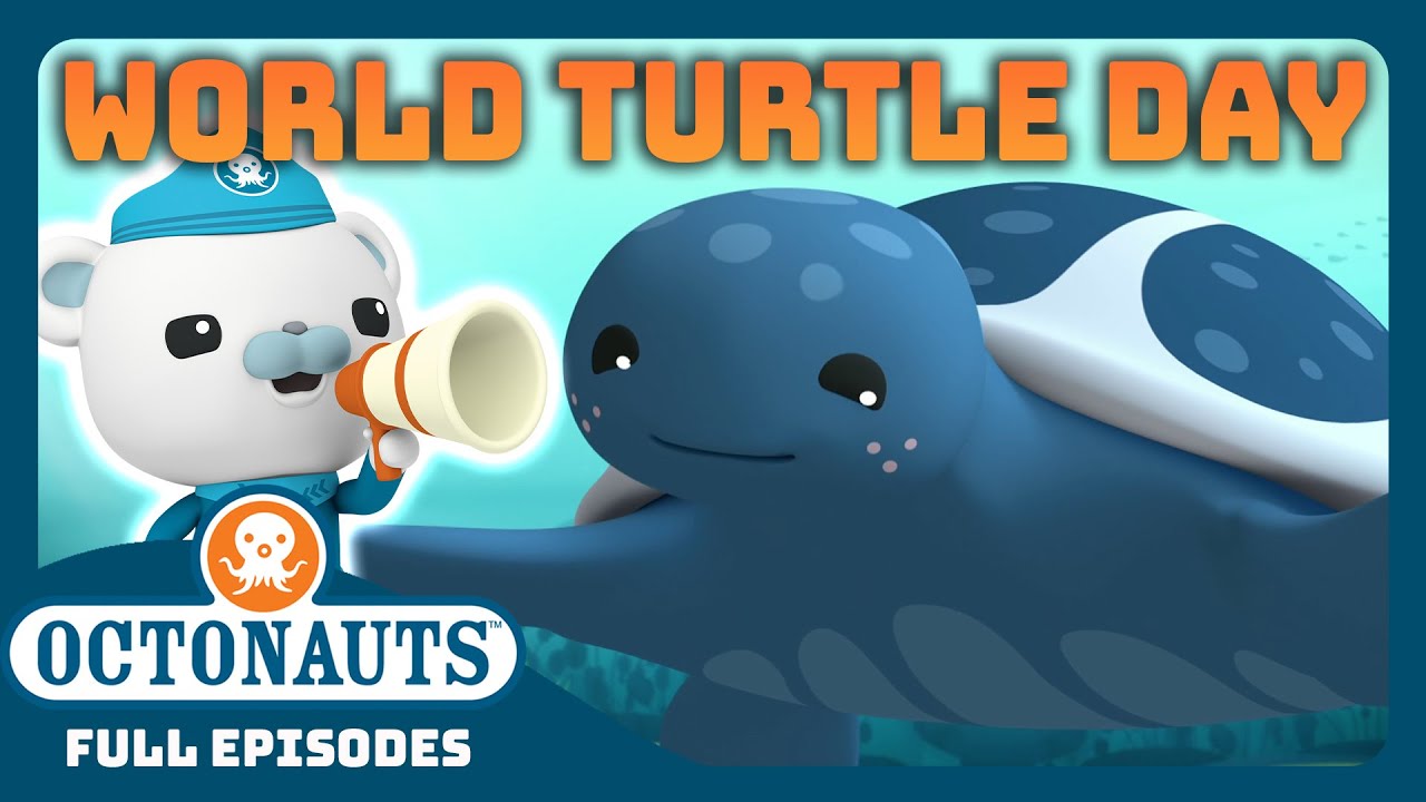 ​@Octonauts  - 🌍 World Turtle Day Special! 🐢 | 30 Mins+ Full Episodes Marathon