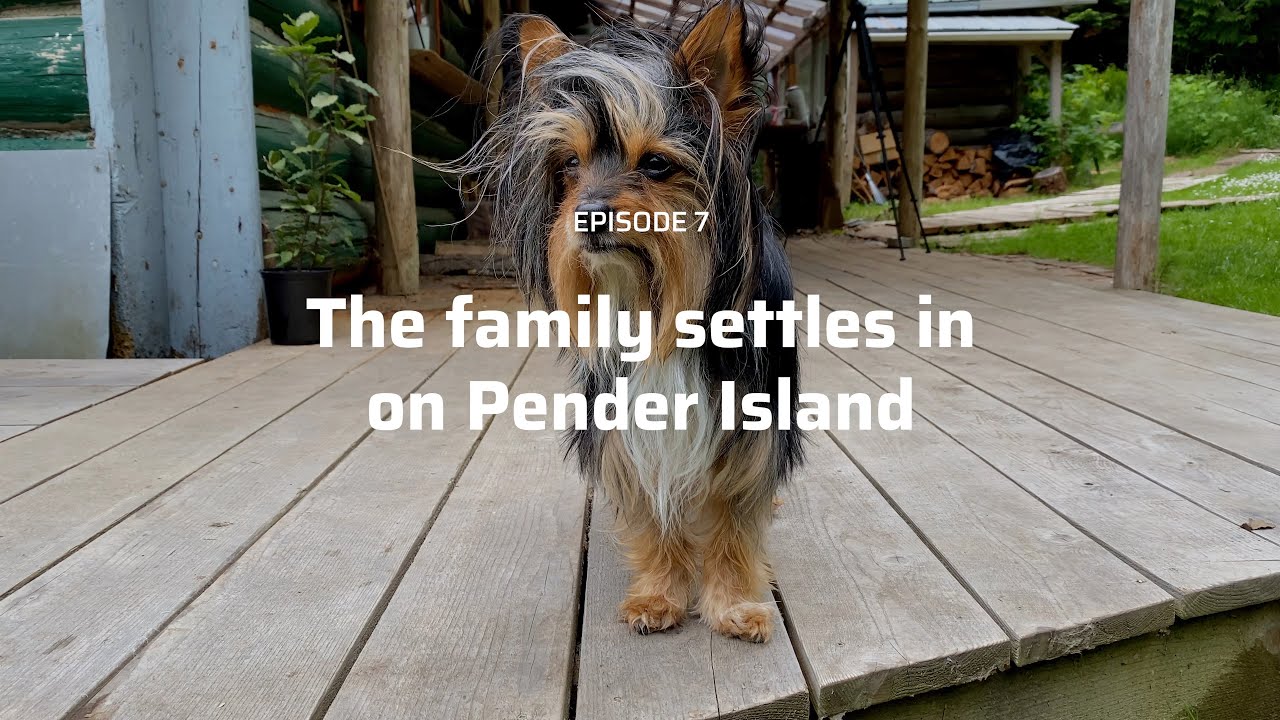 Ep. 7 - The Family Settles in on Pender Island: Dawn & the Dogs Move to Pender Island