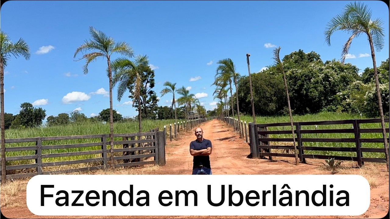 fazenda em uberlandia Guinza imóveis
