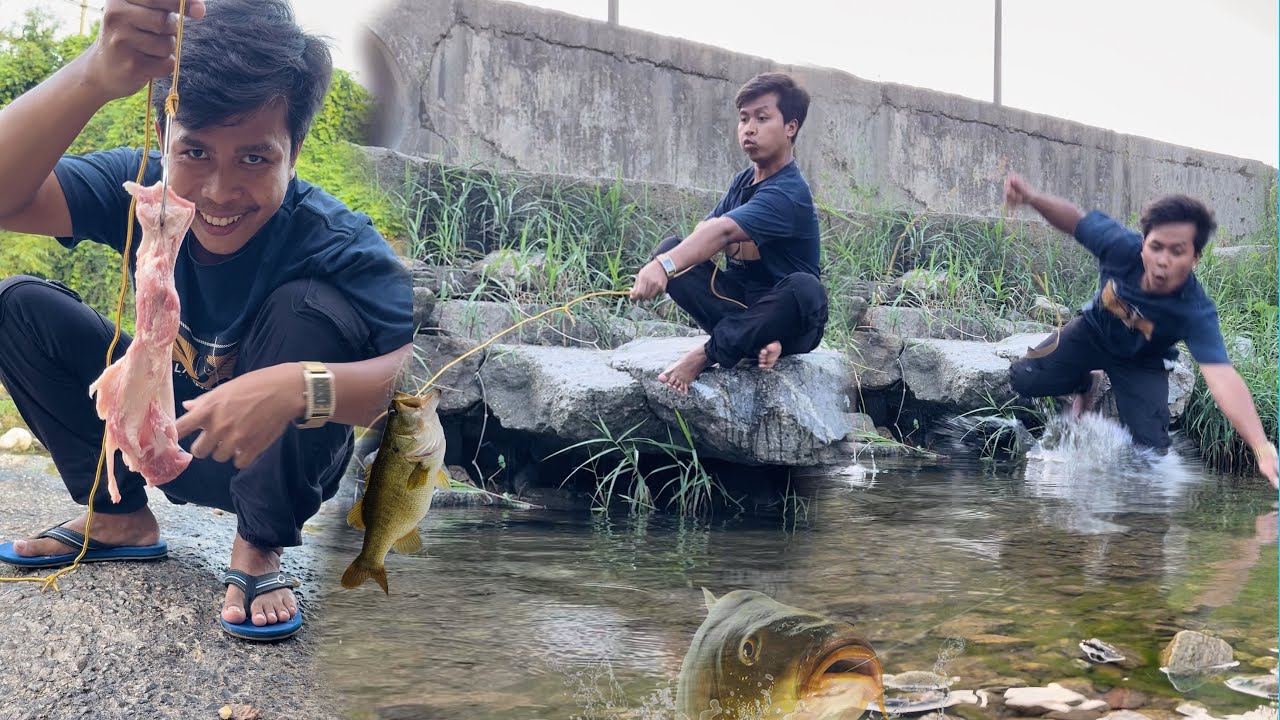 ស្ទូចត្រីនុយសាច់ជ្រូក😂| ត្រីនៅកូរ៉េរើសណាស់! - Fishing - Funny Videos