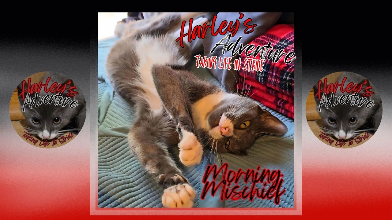 Morning Mischief Music Lyrics