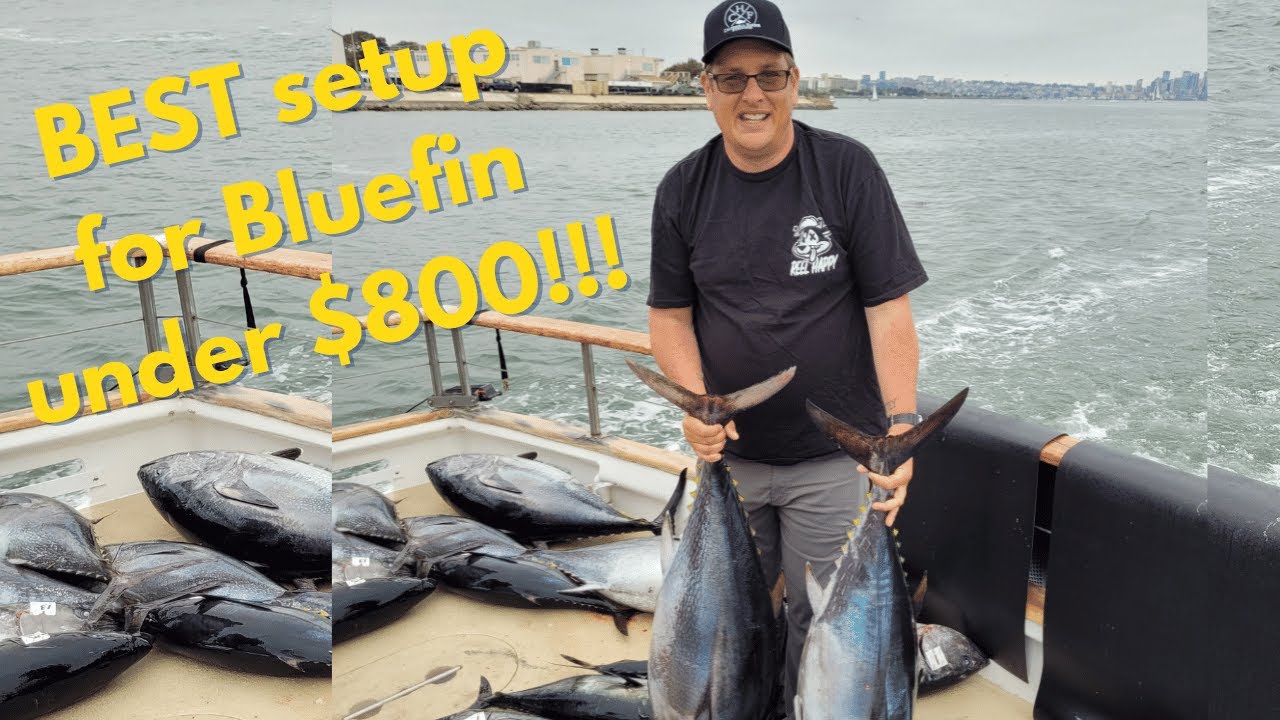 Inexpensive Bluefin Tuna Rod and reel setup 2023