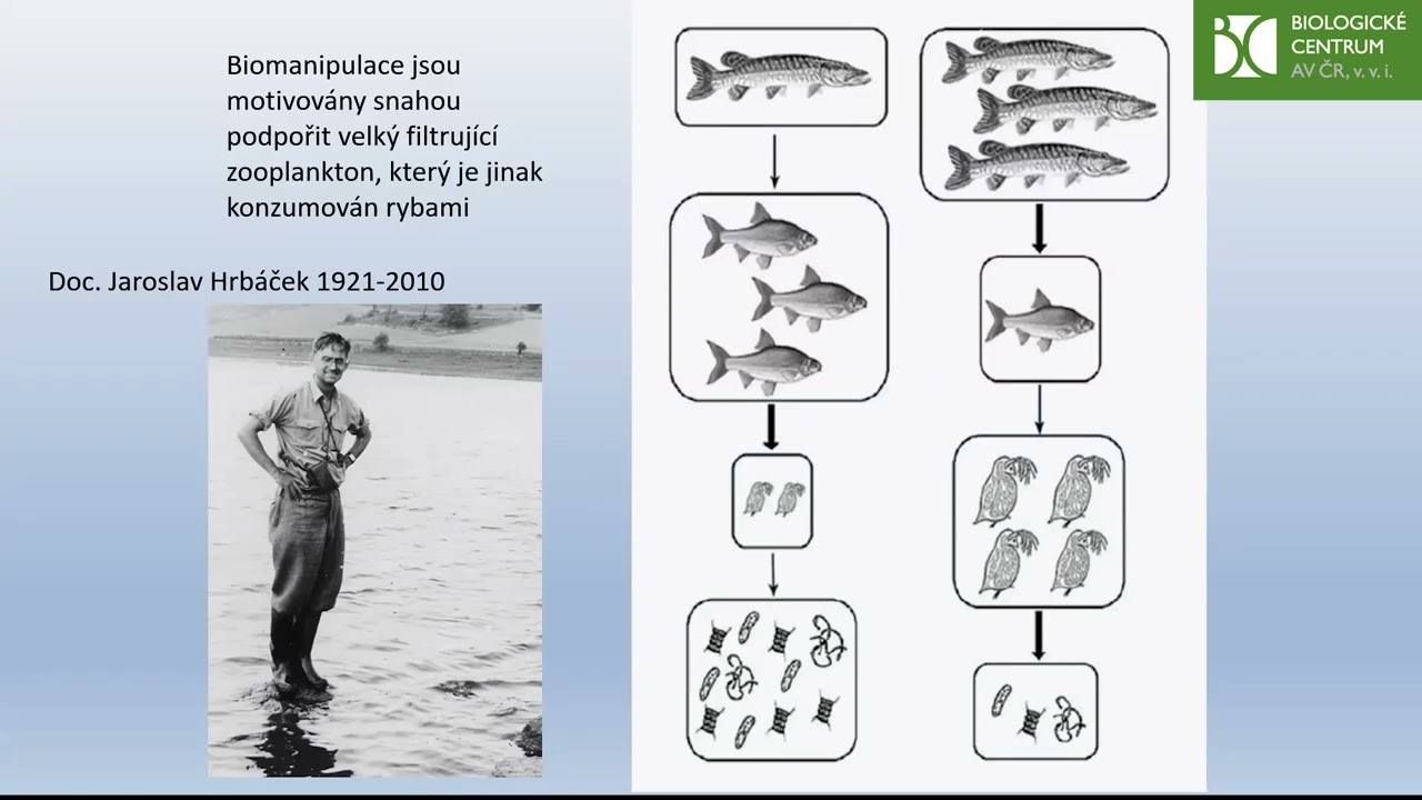 Kvalita vody, rybářství a biomanipulace nádrží a jezer | seminář