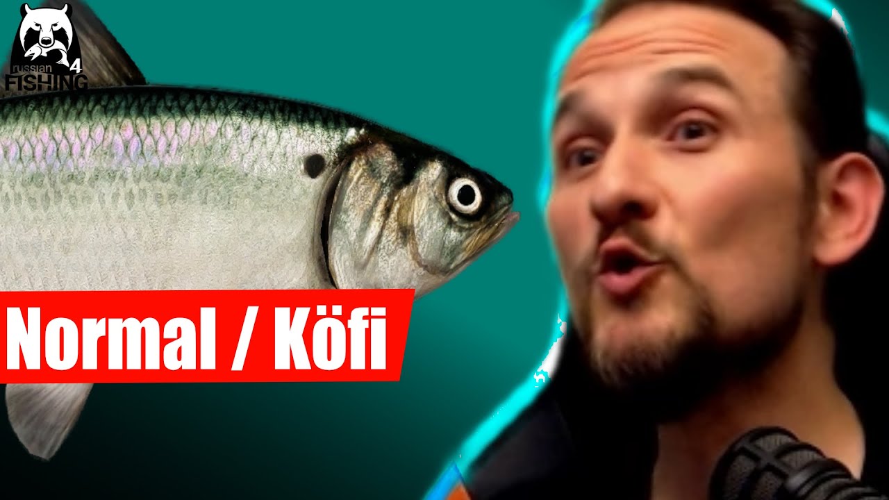 Russian Fishing 4 - Achtuba - Kaspi-Maifisch mit Köfi?? Und 