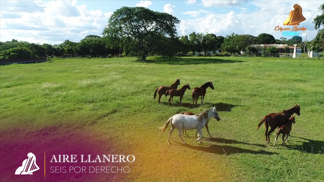 SEIS POR DERECHO | AIRE LLANERO