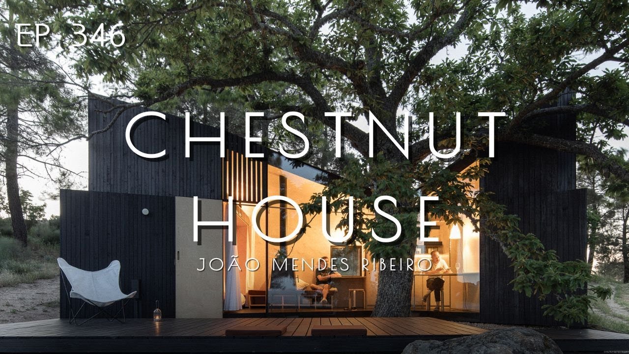 Chestnut House: A Minimalist Cabin Built Around a Tree 🌳 | João Mendes Ribeiro Architecture