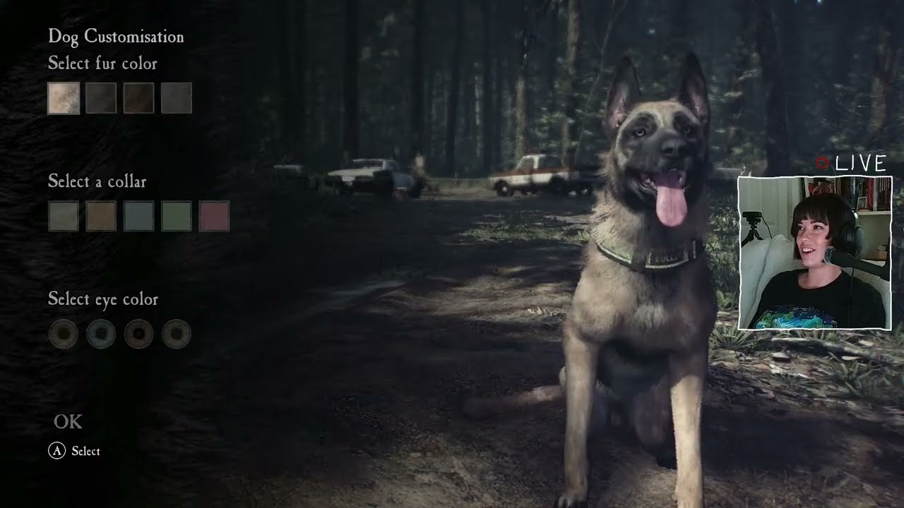 (LIVE) cozy forest game 😊🌲 | blair witch
