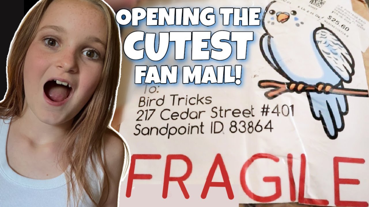 My BIRDS LOVED this FAN MAIL! 🥰🦜