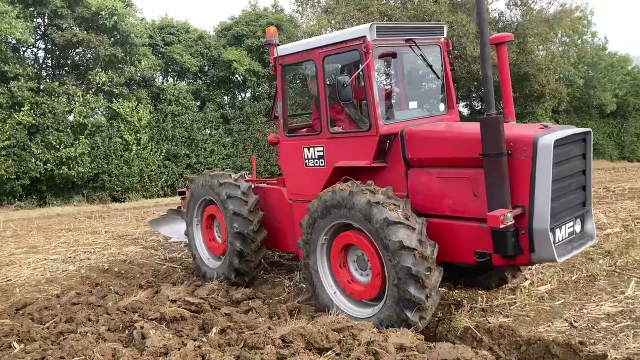 MF 1200 Ploughing at Wormingford 2024