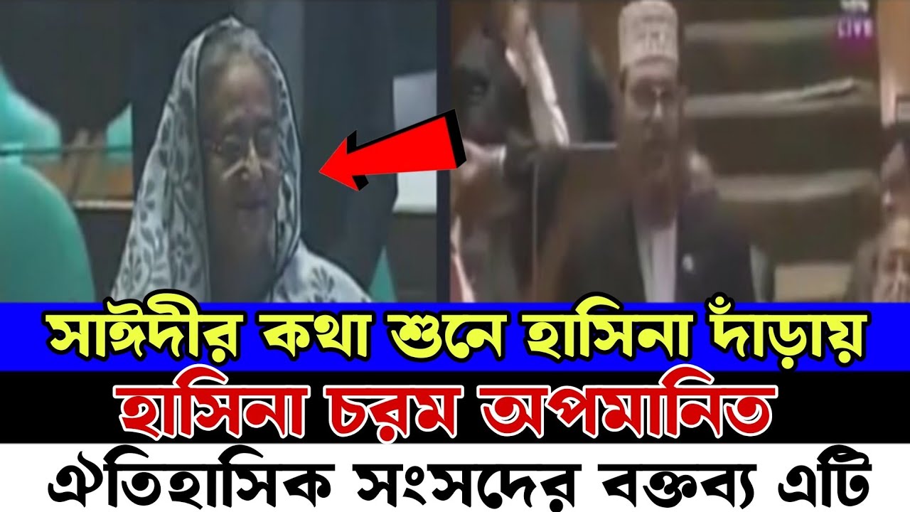 সাঈদীর কথায় শেখ হাসিনা দাড়িয়ে ছিল | দেলওয়ার হোসাইন সাঈদির সংসদে ঐতিহাসিক বক্তব্য | কোটি কোটি ভিউ ছিল