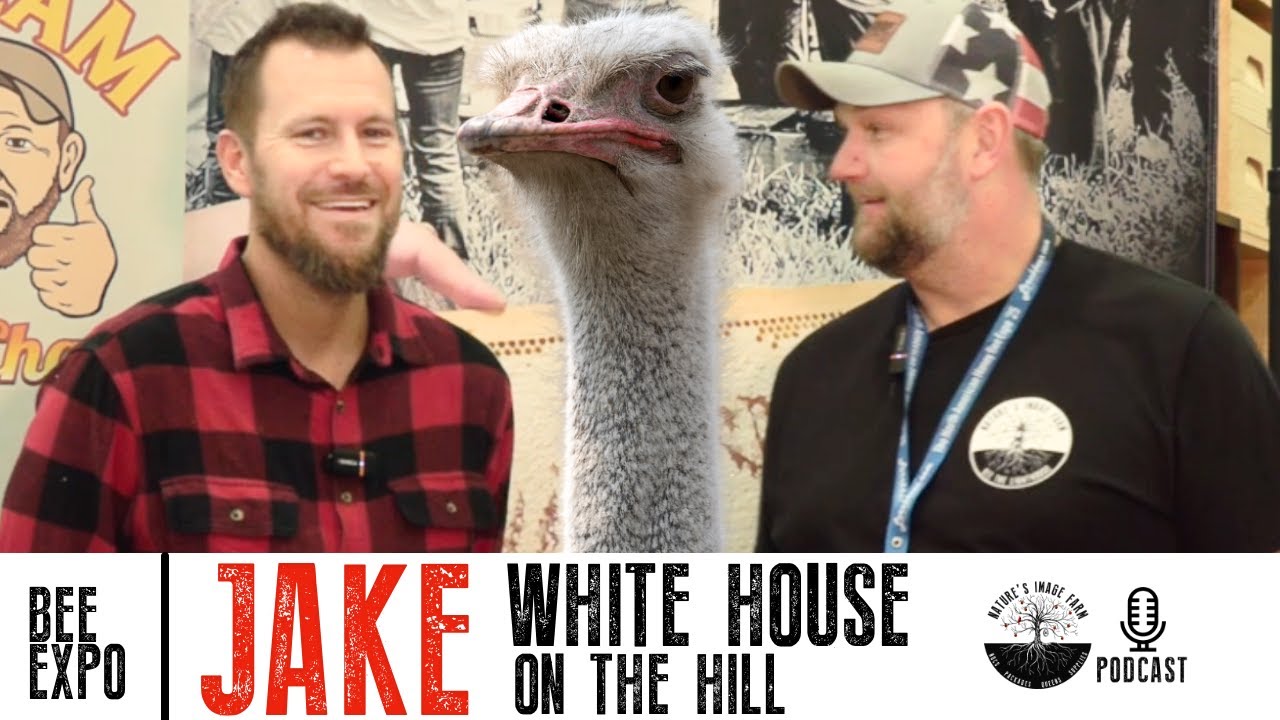 🐣 Jake | White House on the Hill talks BEES!