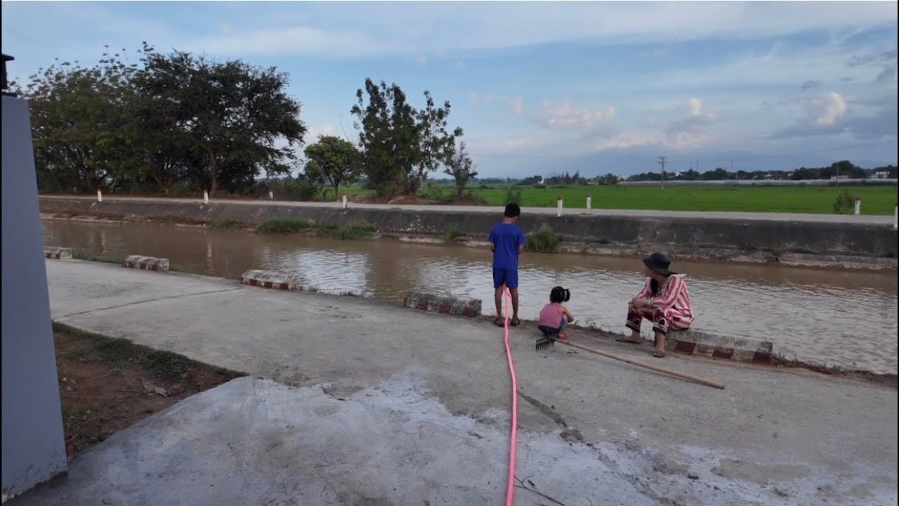 Buổi Chiều Dẫy Cỏ Và Câu Cá 
