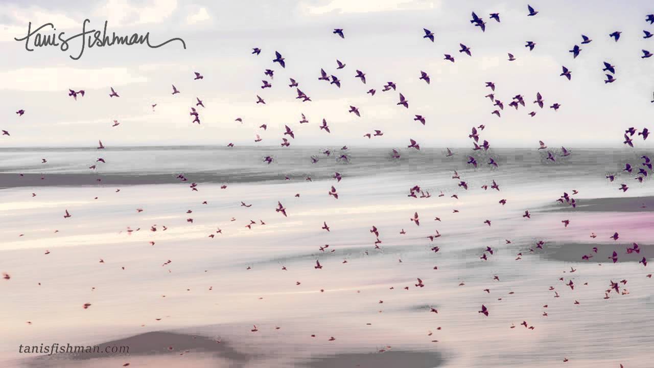 Yoga Nidra - Cosmic Core