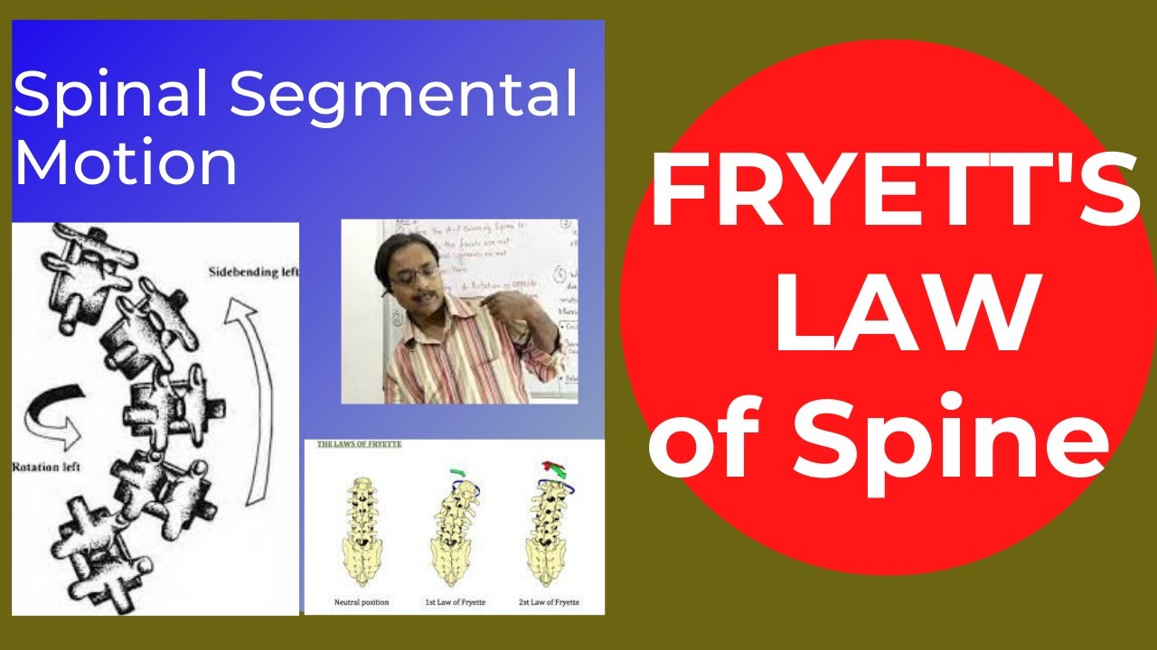 Fryette's Law-Fryette's principle of spinal motion|Coupledmotion|Fryett's lawof spine|healtheducatum