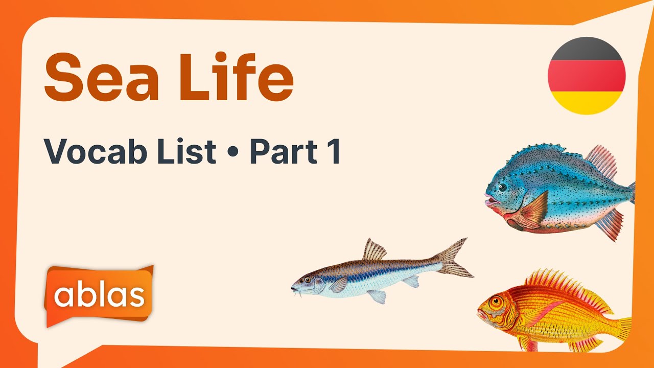 Sea Life | German Vocabulary List (Part 1)
