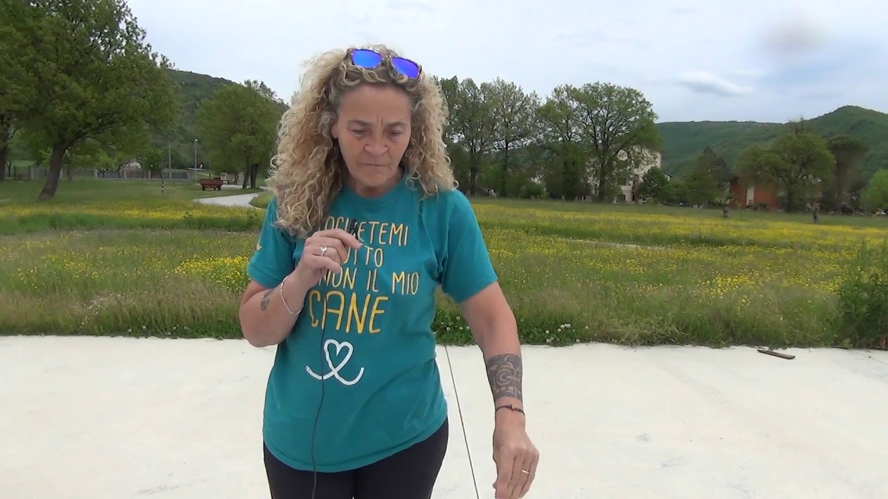 Un altro modo per giocare col proprio cane: insegnargli il 