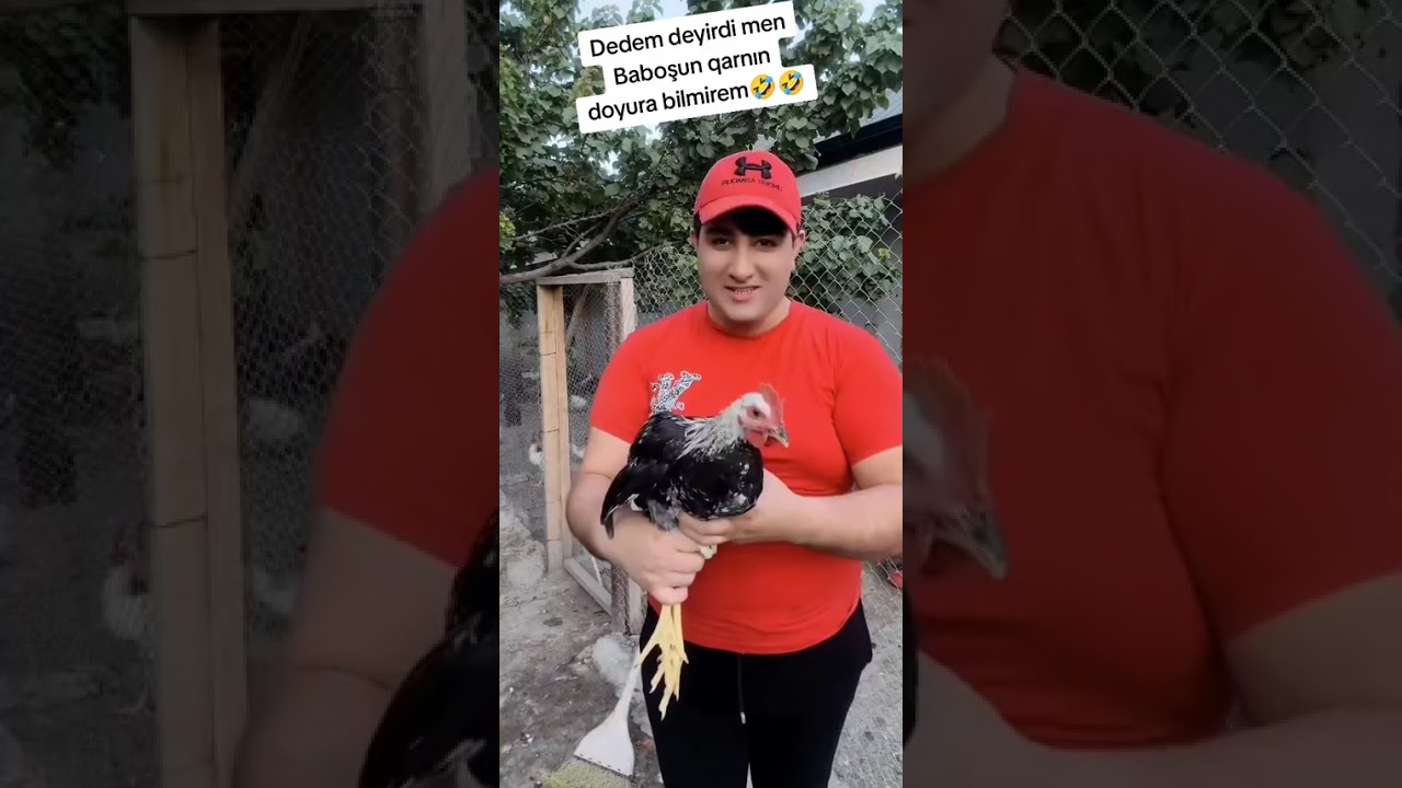 Baboş Çolpaları Kəsib Qutardım!😱