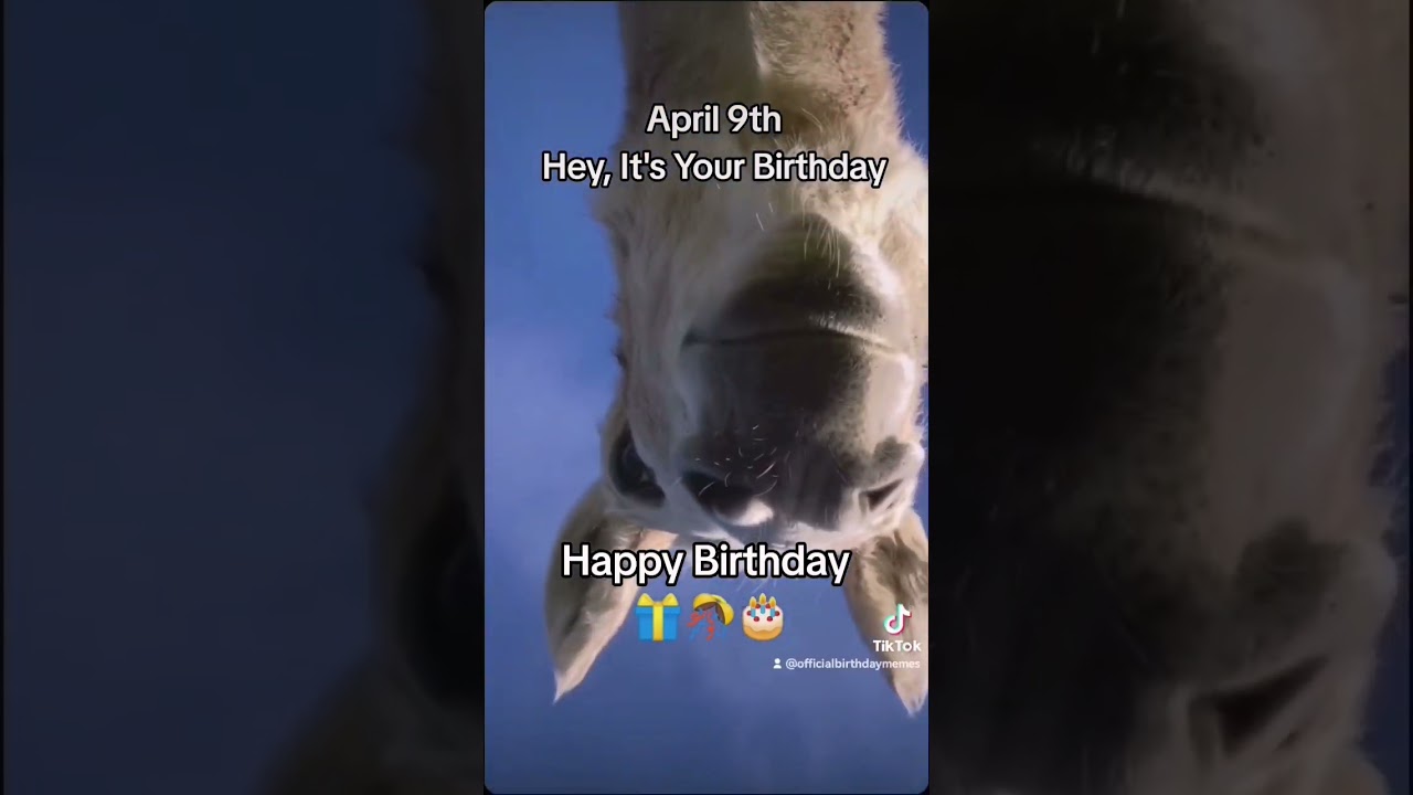 April 9th Birthday Wishes 🎁#birthday #happybirthday #birthdaywishes