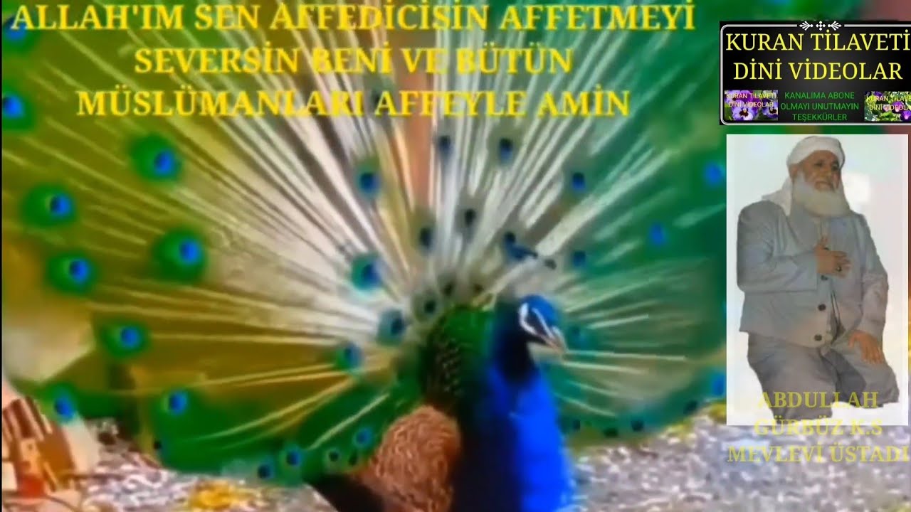 ABDULLAH BABA K.S Sultanım ben seni çok özledim