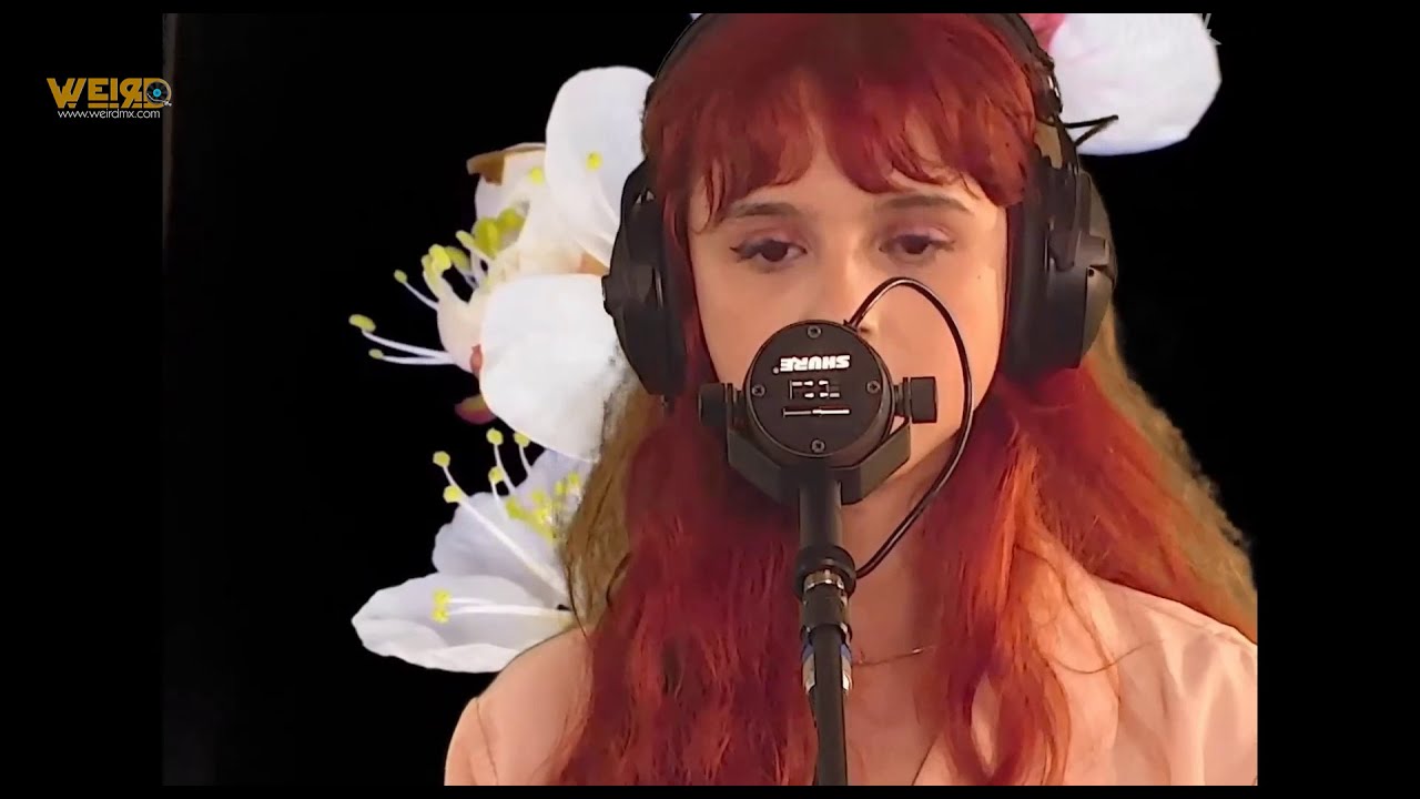 Adiós Amores (España)