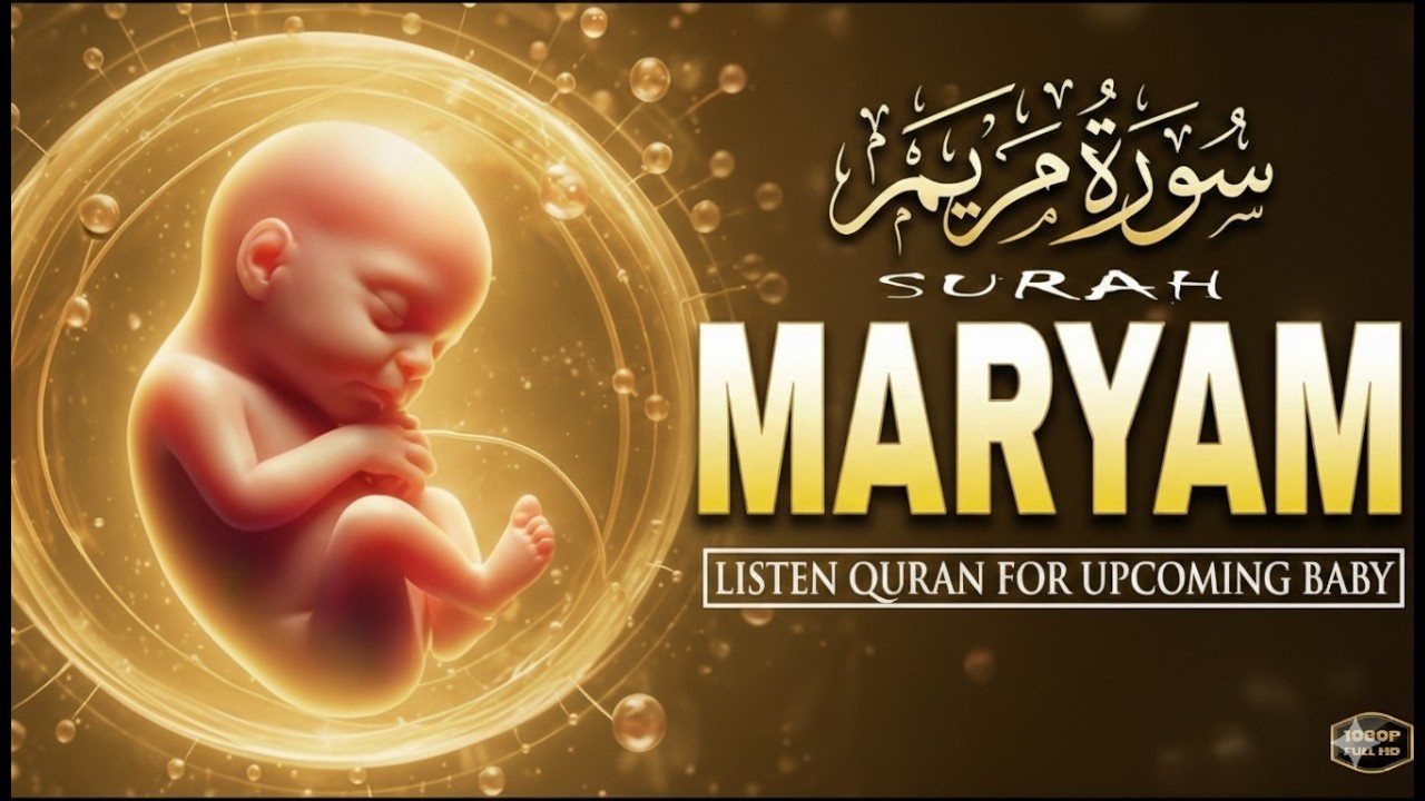 Surah Maryam  سورة مريم   Most Beautiful Lofi Quran Recitation That Touches the Heart 🤍 love