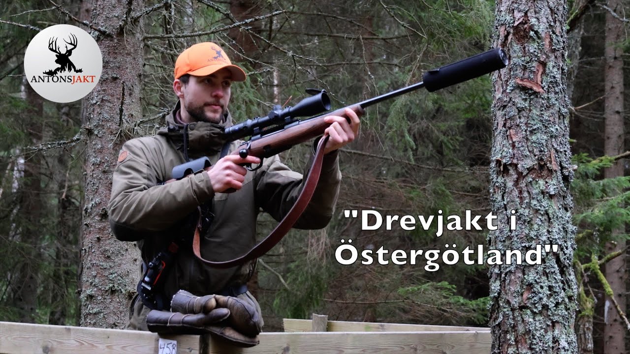 Drevjakt i Östergötland I Antonsjakt