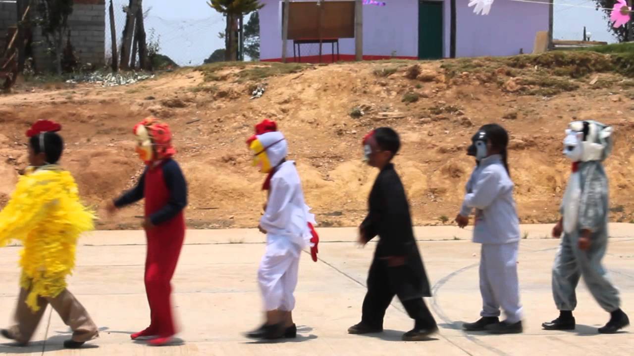 El pollito Pio