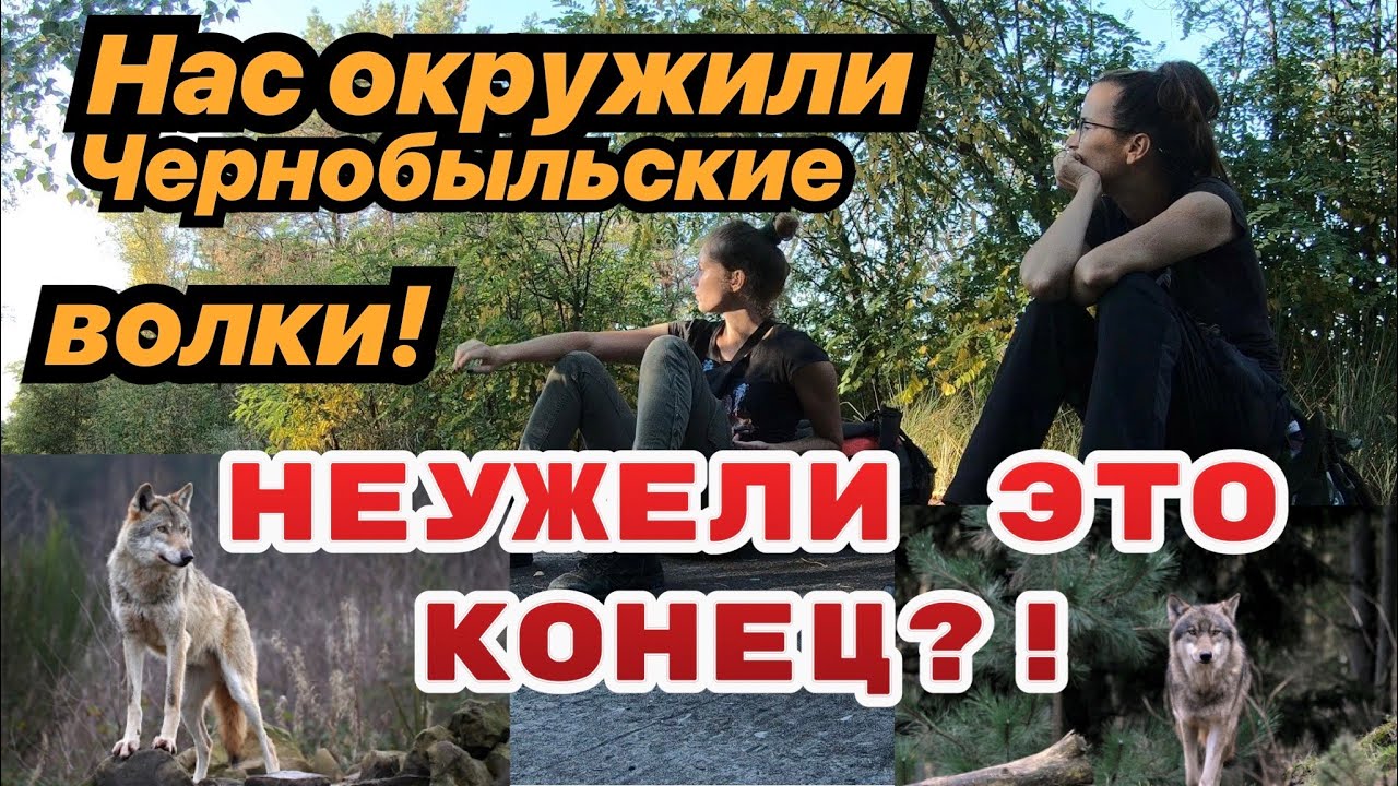 Часть 8. Убегаем от волков на пруду-охладителе ЧАЭС. Смотреть до конца! Поход в Припять2020.