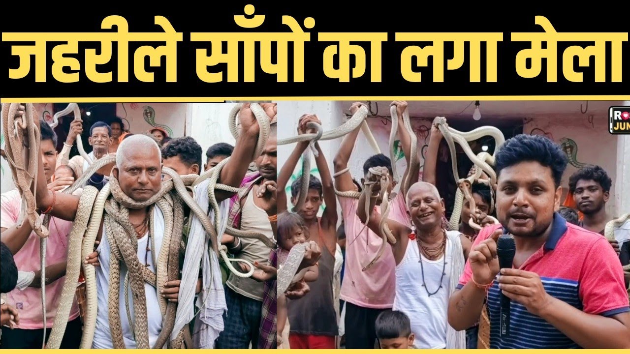 जहरीले साँपों के साथ रोसड़ा के हनुमान नगर में नाग पंचमी की तैयारी में जुटे भगत जी ! Naag Panchami2023