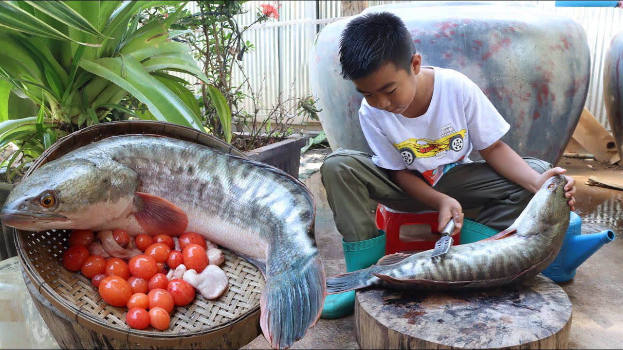 Smart chef in Cambodia cook big fish with 2 recipe - Seyhak cook and invite mommy to taste